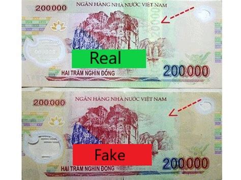 vietnamese are fake